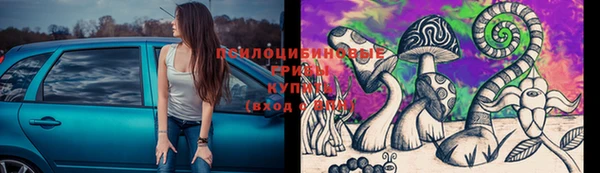 PSILOCYBIN Лагань