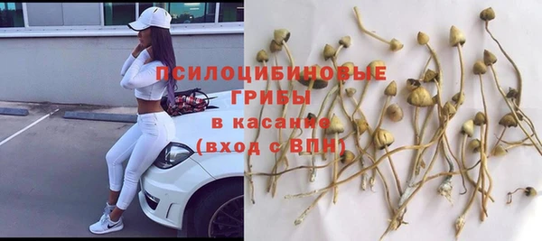 PSILOCYBIN Лагань