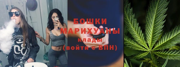 трава Лабытнанги