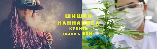 трава Лабытнанги
