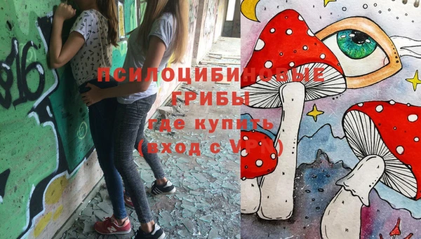 стафф Мурманск