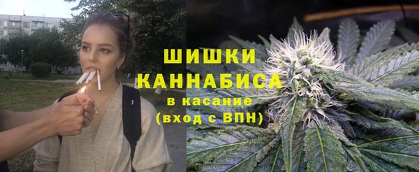PSILOCYBIN Лагань