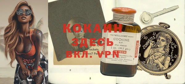 PSILOCYBIN Лагань