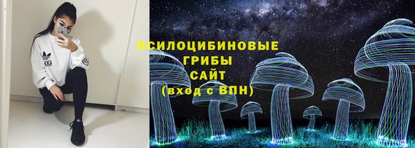 PSILOCYBIN Лагань