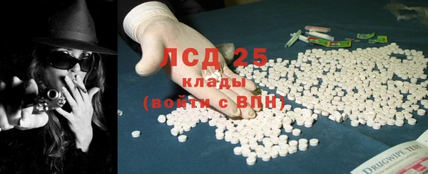 PSILOCYBIN Лагань